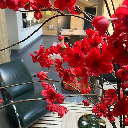 Atelier Onder De Notenboom 아펠턴 외부 사진